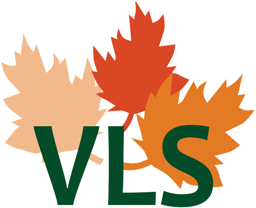 Logo vls2017