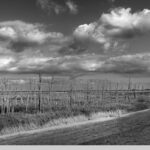 Schwarz-Weiß Fotografie